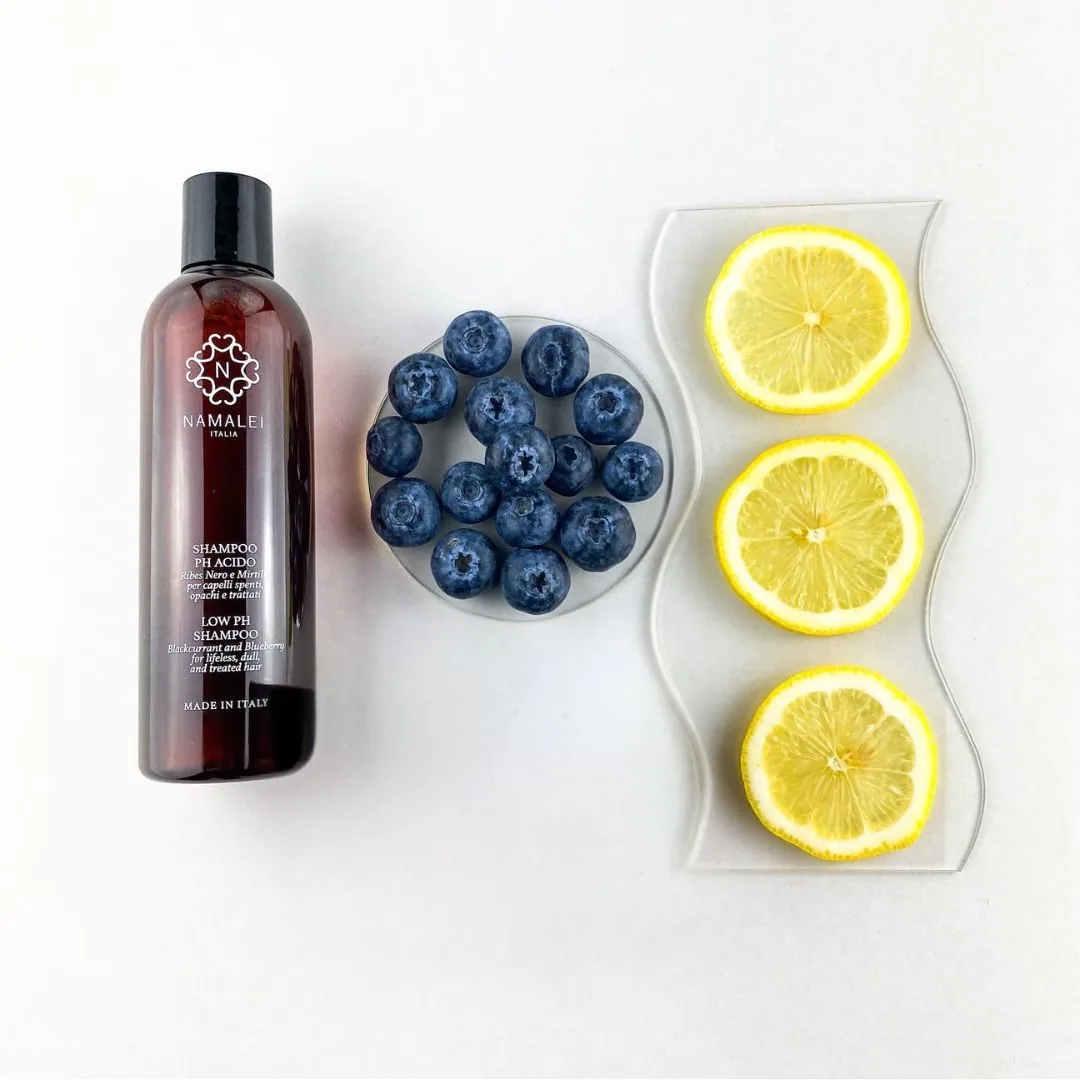 Shampoo Ph Acido Ribes Nero e Mirtillo 2
