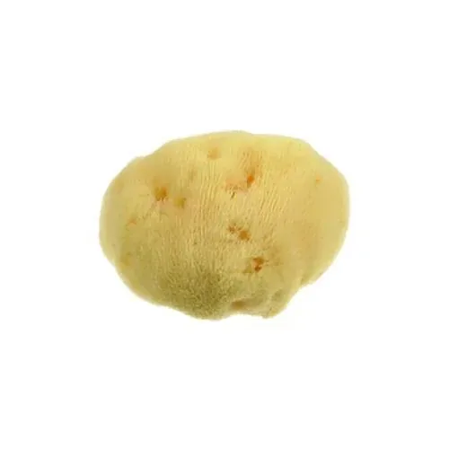 Spugna del Mar Mediterraneo Fine Dama 10cm