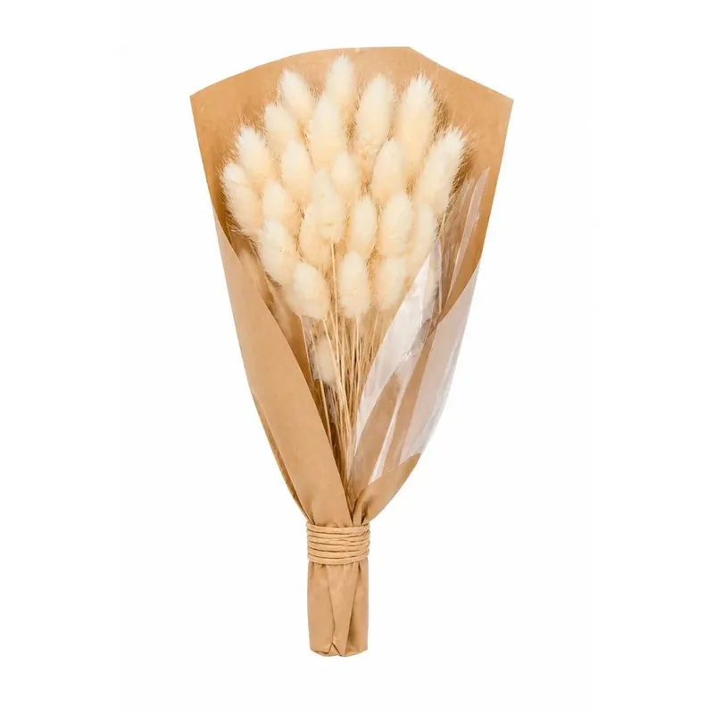 Fiori Secchi mazzo Lagurus