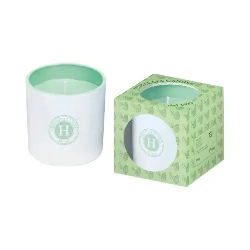 Candela Pino e Menta 165g