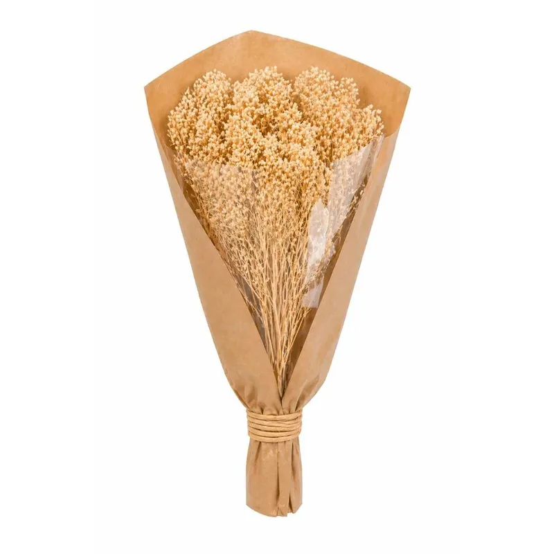Fiori Secchi mazzo Linum